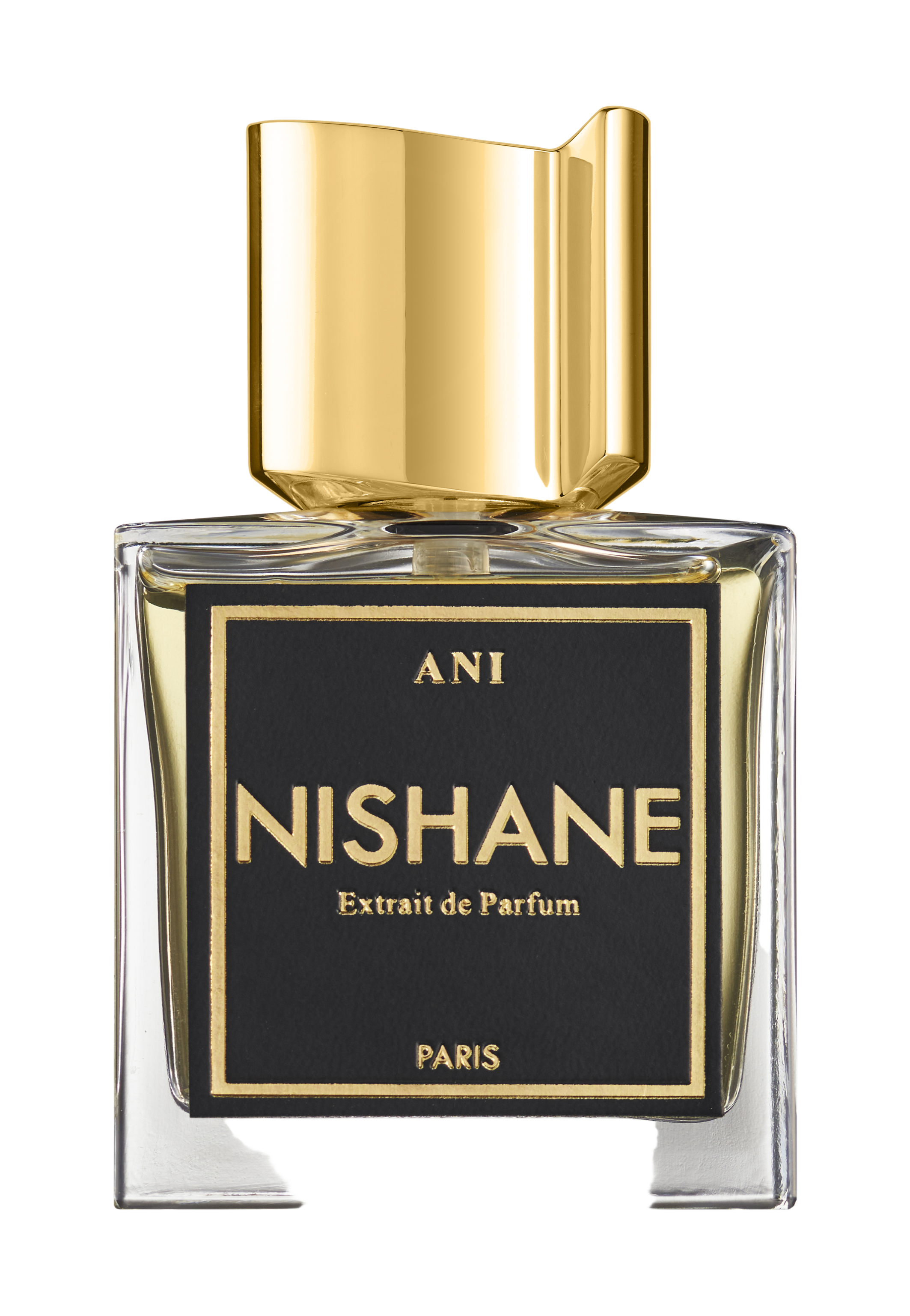 Ani EXTRAIT